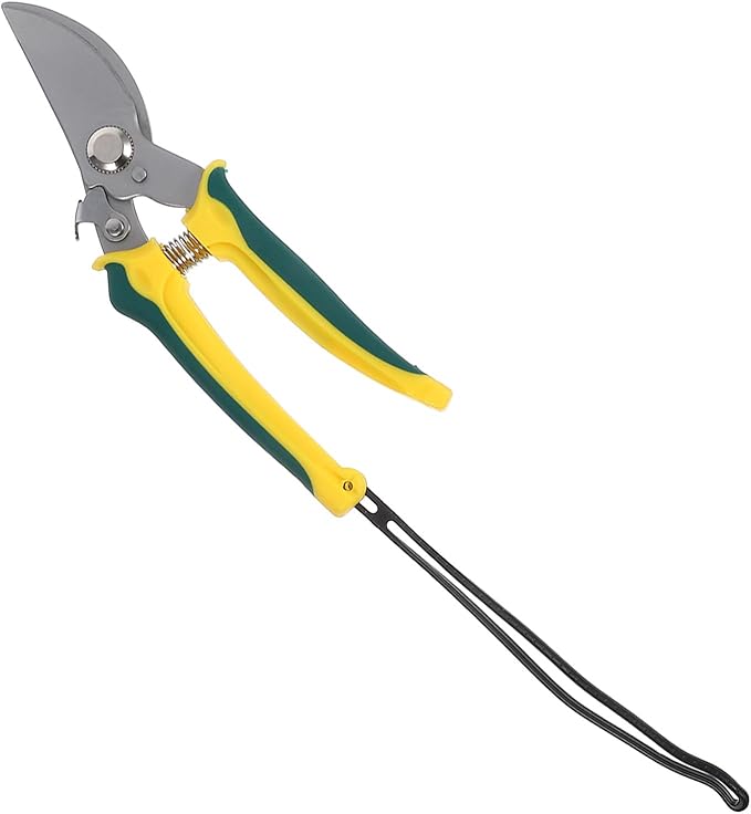 Ciieeo Orchard Fruit Picking Pruning Shear with Bent Tip and Lanyard, Stainless Steel Garden Clippers for Trimming Plants, Flowers, and Branches, Handheld Multifunctional Gardening Tool