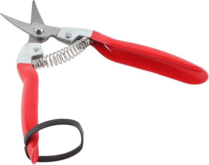 Trimming Scissors Flower Cutters for Stems Florist, Pruning Shears Indoor Plants Gardening Tools, Garden Scissors Bonsai Tools with Spring Loaded for Garden Workings (Curved Blade)