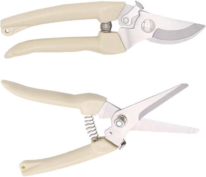 2pcs Stainless Steel Pruning Shears Gardening Trimmer Set with Straight and Bird Beak Blades Labor-saving Hand Tool for Fruit Tree Trimming and Bonsai Care