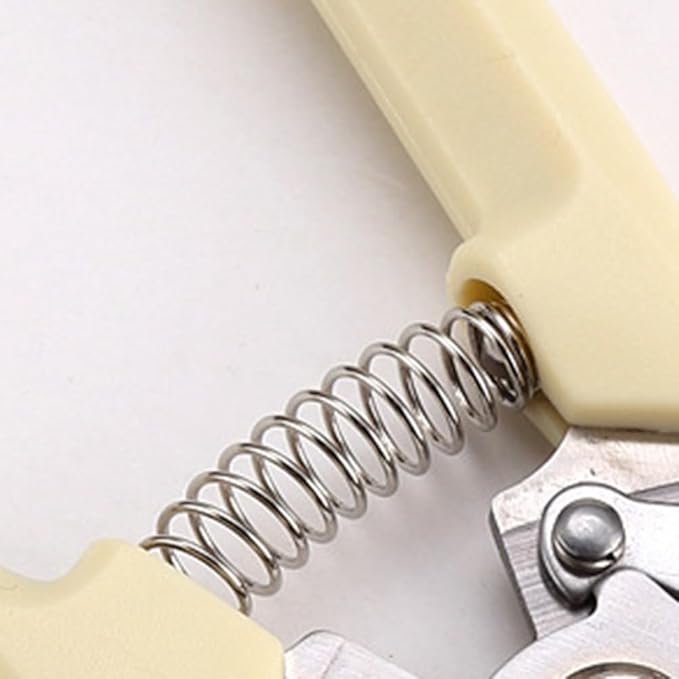 Garden Shears Stainless Steel Garden Pruning Shears for Branch Cutting, Bonsai Trimming, Orchard and Outdoor Gardening Tools(Straight)