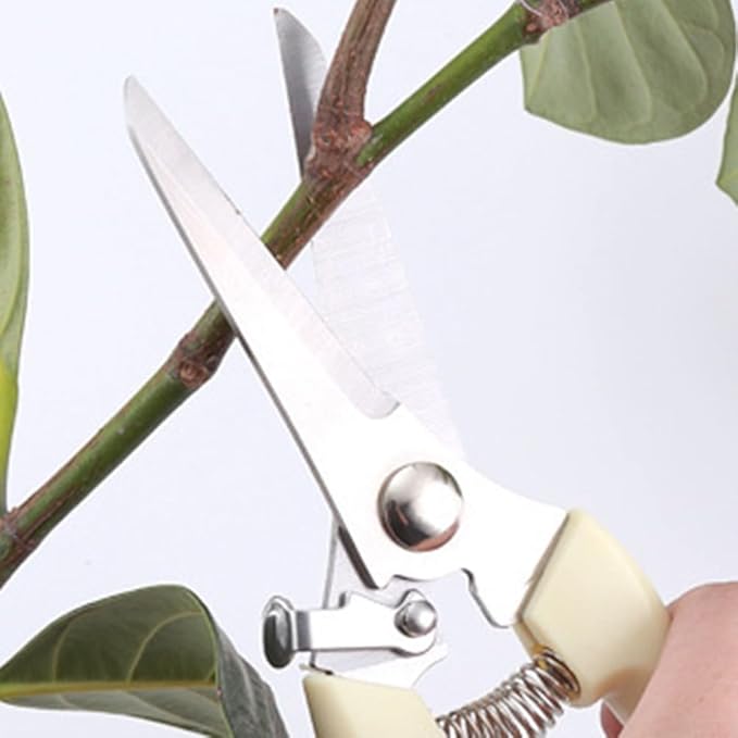 Garden Shears Stainless Steel Garden Pruning Shears for Branch Cutting, Bonsai Trimming, Orchard and Outdoor Gardening Tools(Straight)