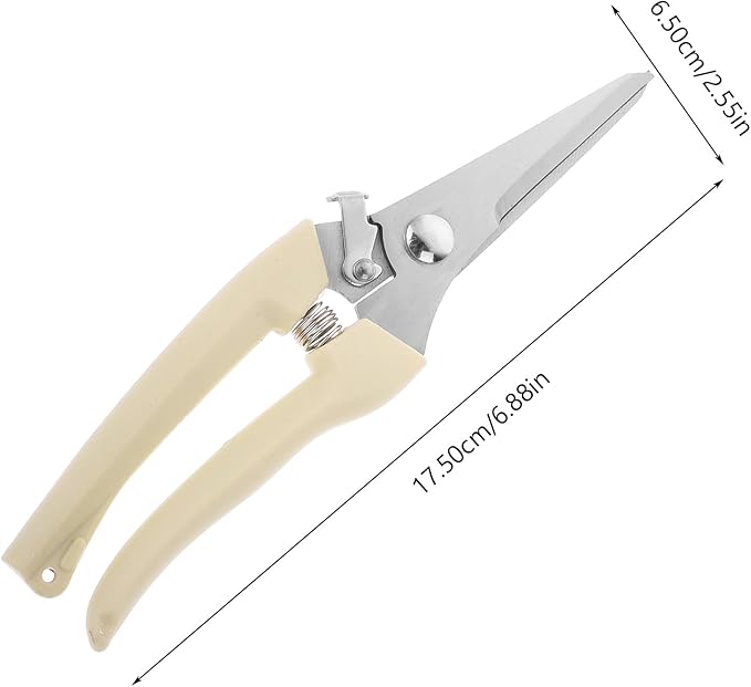 Toyvian Stainless Steel Branch Shears and Gardening Pruning Scissors for Fruit Tree Trimming with Straight Head, Horticulture Hand Tool for Precise Garden and Orchard Cutting