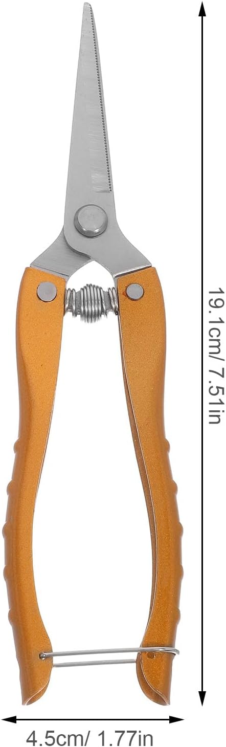 VANZACK 2pcs Stainless Steel Garden Pruning Shears Heavy Duty Plant Clippers for Fruit Tree and Vegetable Trimming, Large Gold Gardening Hand Tools for Orchard and Vineyard Use