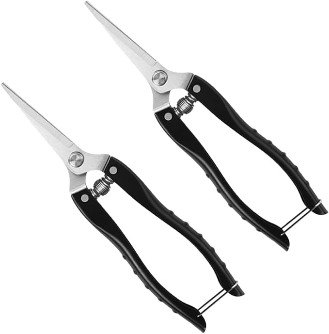 2pcs Garden Pruning Shears and Plant Clippers for Fruit Trees, Vegetable and Flower Trimming, Stainless Steel Blades with Straight Heads, Large Black Gardening Hand Tools for Fruit
