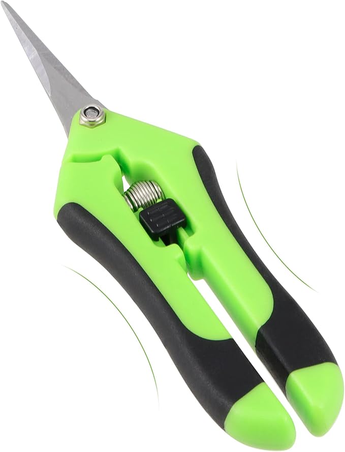 JEUIHAU 12 Pack 6.5 InchesPruning Shears Trimming Scissors, Gardening Hand Pruning Shears with Straight Tip Stainless Steel Blades, Micro Tip Pruning Snips for Trimming Garden Herb Plant Flower, Green
