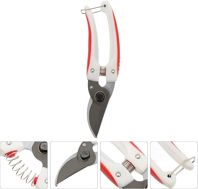 Garden Pruning Shears and Fruit Tree Branch Cutter, Bypass Pruning Scissor for Garden and Orchard Use, Ergonomic Hand Tool for Precise Branch Trimming and Plant Maintenance