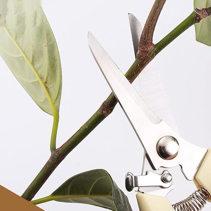 Garden Shears Stainless Steel Garden Pruning Shears for Branch Cutting, Bonsai Trimming, Orchard and Outdoor Gardening Tools(Straight)