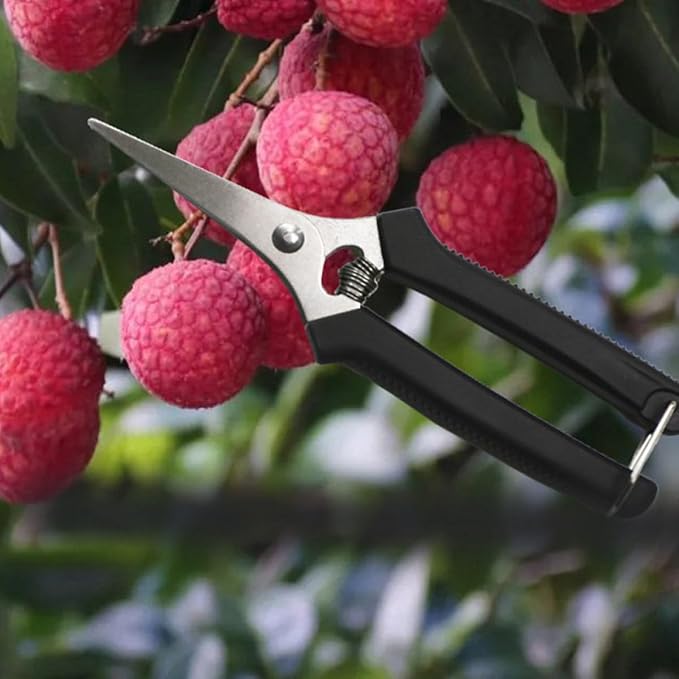 5pcs Garden Pruning Shears and Fruit Trimming Scissors with Black Non-slip Handles, Multi-function Gardening Hand Tools for Fruit Trees and Vegetable Orchards