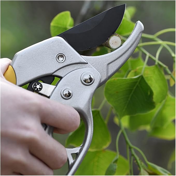 Trimming Tool Heavy Duty Garden Pruning Shear Fruit Tree Branch Pruner Trimmer Tools Ratchet Hand Pruner Cutter Plant Scissor Garden Hand Tool Durable and Versatile.