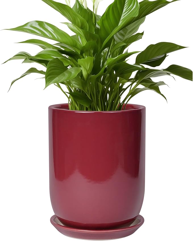 SUNPOTFOR Ceramic Pot for Plants - 8 Inch Plant Pot Indoor with Drainage Hole and Saucer Cylinder Flower Pot for Indoor Outdoor Plants Home Patio Office Decor Red