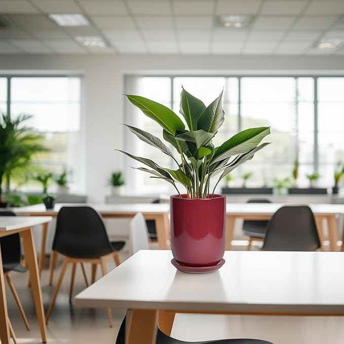 SUNPOTFOR Ceramic Pot for Plants - 8 Inch Plant Pot Indoor with Drainage Hole and Saucer Cylinder Flower Pot for Indoor Outdoor Plants Home Patio Office Decor Red