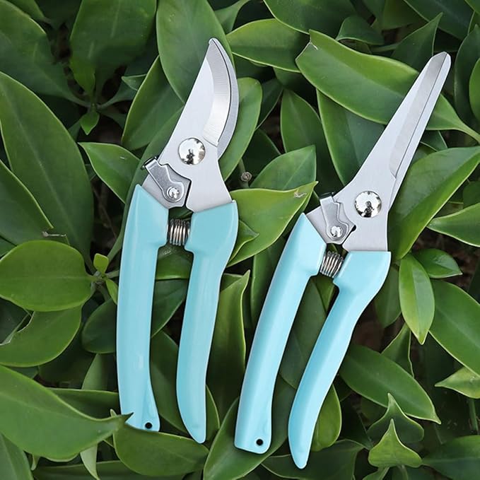 2pcs Garden Pruning Shears and Fruit Tree Branch Shears for Gardening, Curved and Straight Blade Designs, Sturdy Hand Tools for Tree Branch and Twig Trimming in Home Garden