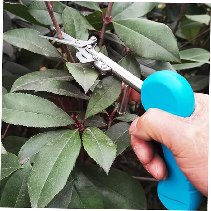 Healifty Pruning Shears with Ergonomic Handle Garden Hand Tool for Trimming Branches Flowers and Potted Plants Wear Resistant Cutting Clippers