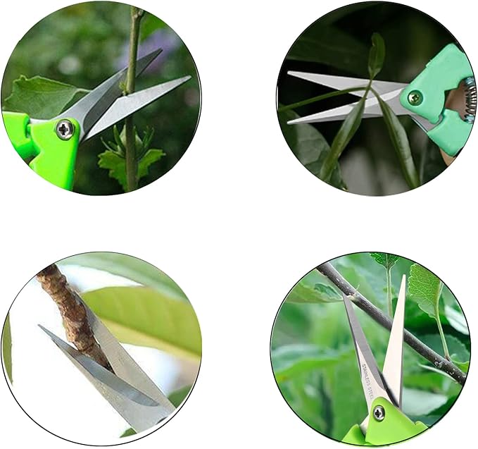 8 Pack 6.5 Inch Gardening Scissors Hand Pruner Pruning with Spring loaded and Straight Blade, Bonsai Pruning Shears for Trimming Garden Herb Plants Flowers