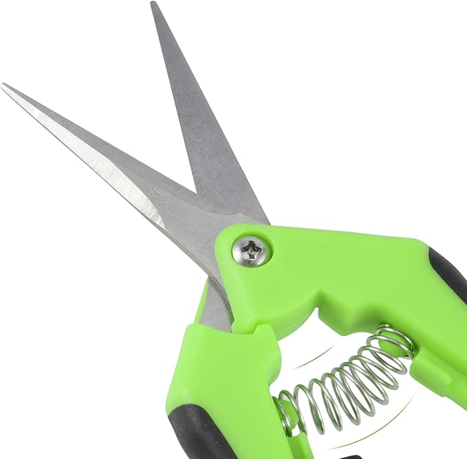 JEUIHAU 12 Pack 6.5 InchesPruning Shears Trimming Scissors, Gardening Hand Pruning Shears with Straight Tip Stainless Steel Blades, Micro Tip Pruning Snips for Trimming Garden Herb Plant Flower, Green