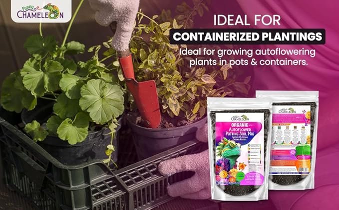 Organic Autoflower Potting Soil Mix – Ready-to-Use Living Soil, No Fertilizers Needed – Balanced Nutrients, Light Texture, Excellent Drainage, Boosts Germination & Root Growth (10 quarts)