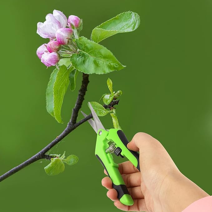 JEUIHAU 12 Pack 6.5 InchesPruning Shears Trimming Scissors, Gardening Hand Pruning Shears with Straight Tip Stainless Steel Blades, Micro Tip Pruning Snips for Trimming Garden Herb Plant Flower, Green