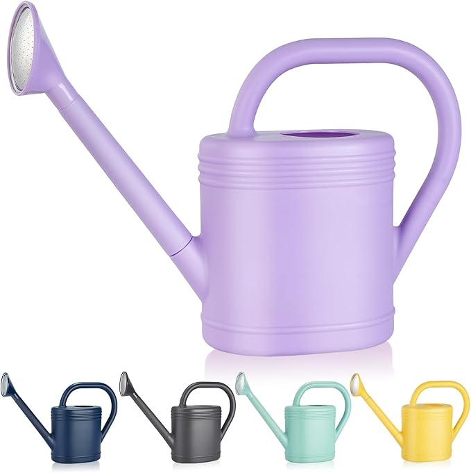 1 Gallon Watering Can for Indoor Plants, Garden Watering Cans for Outdoor Plant House Flower, Modern Plant Watering Can Large Long Spout with Sprinkler Head