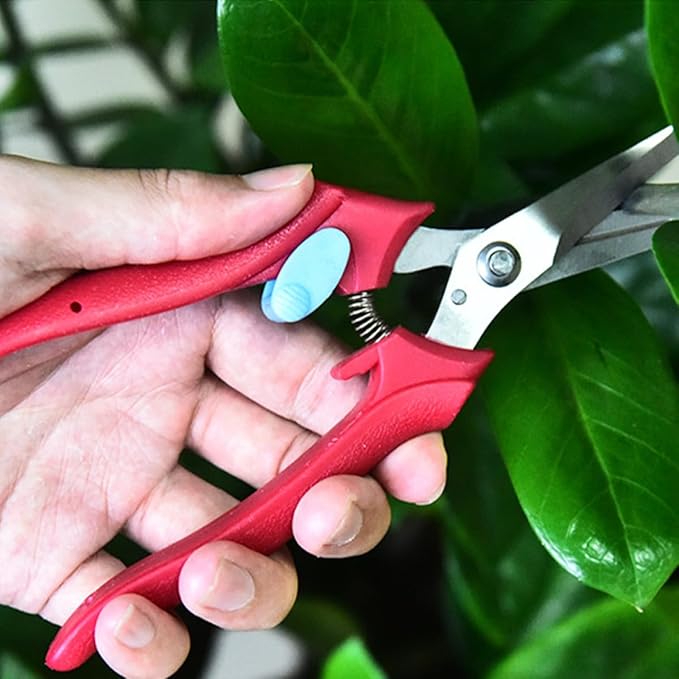 Kisangel Fruit Picking Clipper and Garden Trimming Shear for Fruit Trees, 1pcs Garden Clippers Hand Tool with Sharp Blade for Branch Pruning and Horticultural Use