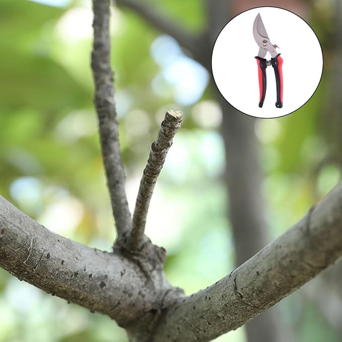 Lurrose Garden Pruning Shears and Tree Branch Trimming Tool, Hand Pruner with Sharp Blade for Outdoor Gardening, Labor-saving Scissor Suitable for Thick Branches and Plant Trimming