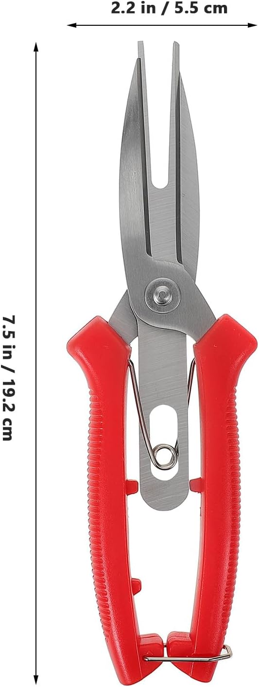 Garden Pruning Shears and Gardening Scissors Double-edged Sharp Blades for Fruit Thinning and Plant Trimming, Lightweight Handheld Tool for Garden and Orchard Maintenance