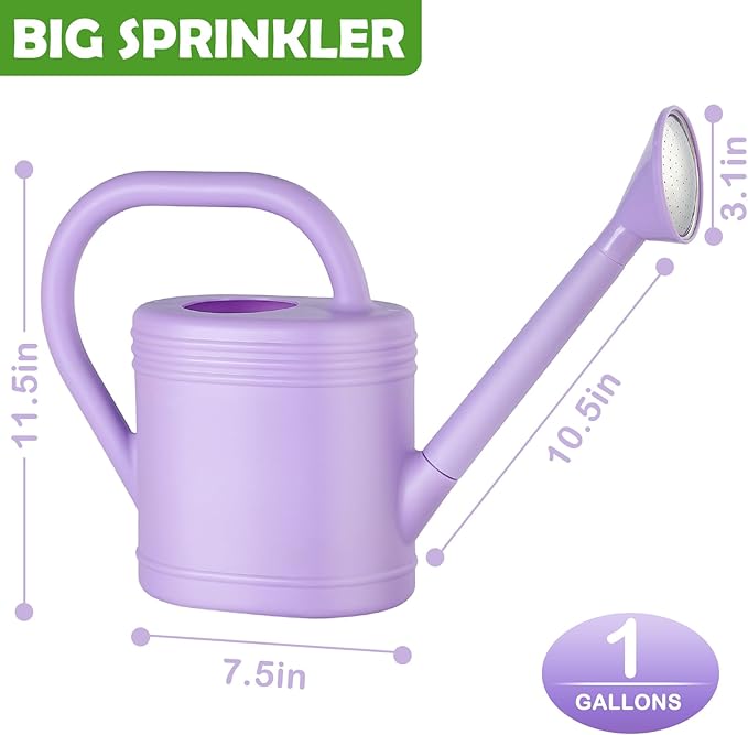 1 Gallon Watering Can for Indoor Plants, Garden Watering Cans for Outdoor Plant House Flower, Modern Plant Watering Can Large Long Spout with Sprinkler Head