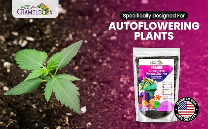 Organic Autoflower Potting Soil Mix – Ready-to-Use Living Soil, No Fertilizers Needed – Balanced Nutrients, Light Texture, Excellent Drainage, Boosts Germination & Root Growth (2 QUARTS)