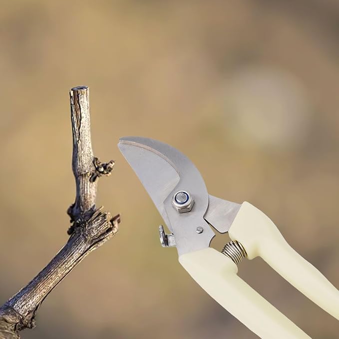 Garden Shears Stainless Steel Garden Pruning Shears for Branch Cutting, Bonsai Trimming, Orchard and Outdoor Gardening Tools(Elbow)
