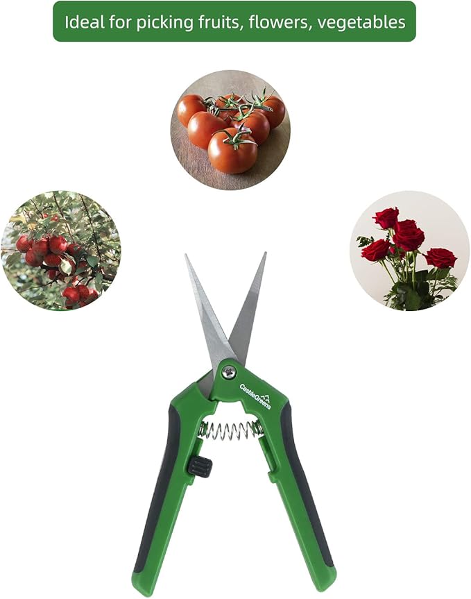 Plant Scissors, 6.5 Inch Pruning Scissors with Straight & Curved Stainless Steel Blades, Designed for Garden and Home (2 Pack-Green)