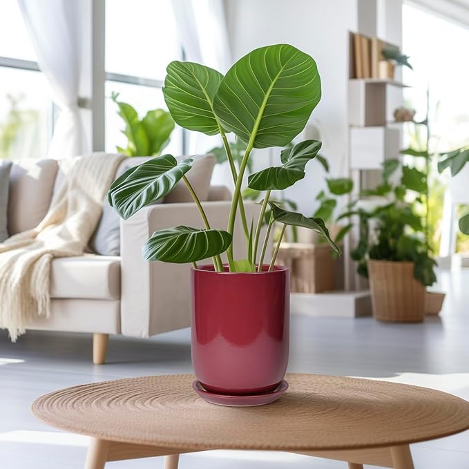 SUNPOTFOR Ceramic Pot for Plants - 8 Inch Plant Pot Indoor with Drainage Hole and Saucer Cylinder Flower Pot for Indoor Outdoor Plants Home Patio Office Decor Red