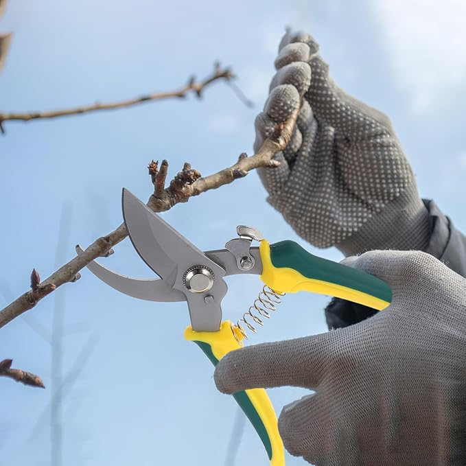 HEMOTON Bent Tip Pruning Shear for Tree Trimming with Lanyard, Stainless Steel Garden Clippers for Branches and Plant Care, Multi-purpose Hand Tool for Orchard and Flower Gardening