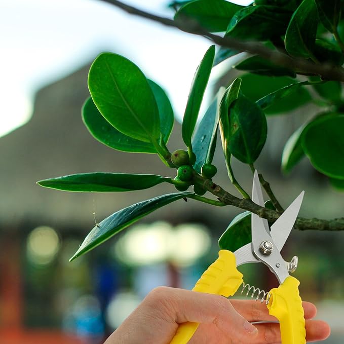 Angoily Serrated Gardening Pruning Shear Scissors 8-inch Steel Blade Labor-saving Hand Tool for Garden Trimming and Branch Cutting Random Color