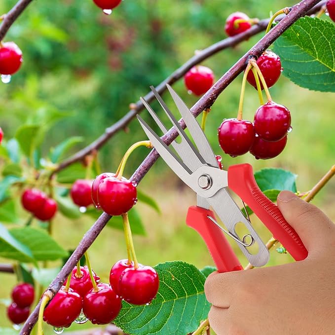 Garden Pruning Shears and Gardening Scissors Double-edged Sharp Blades for Fruit Thinning and Plant Trimming, Lightweight Handheld Tool for Garden and Orchard Maintenance