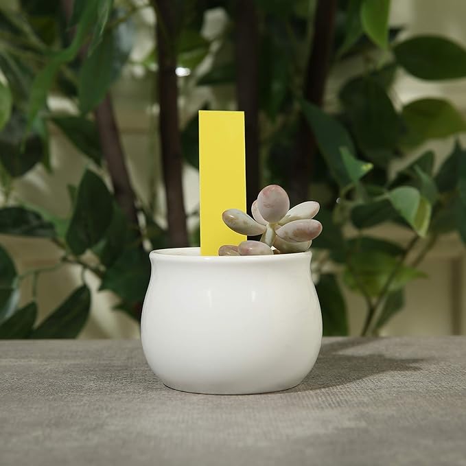 1000 Pcs Plant Tags, 4 Inch Plastic Garden Plant Pot Markers Waterproof Plant Labels, Yellow