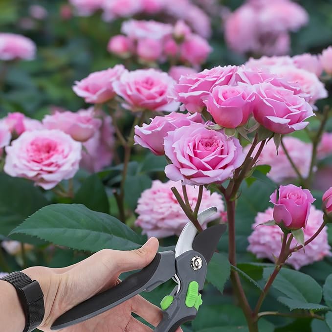 IMIKEYA Garden Trimming Scissors Stainless Steel Branch Pruning Shear Hand Tool for Tree and Flower Cutting with Silver Head Suitable for Gardening and Orchard Maintenance