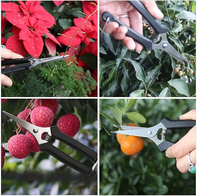 GALPADA 5pcs Black Handle Pruning Shears and Trimming Scissors Garden Pruning Cutter Set for Fruit Trees and Vegetable Plants with Straight Blades, Multipurpose Gardening Hand Tools