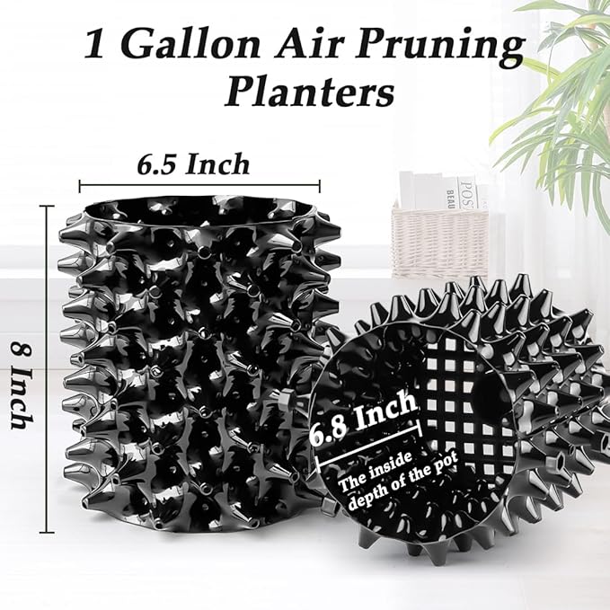 1 Gallon Air Pruning Containers, New Plastic Nursery Pots, Fruit Vegetable Garden Self-Planting Pots, Black (1G-10P)