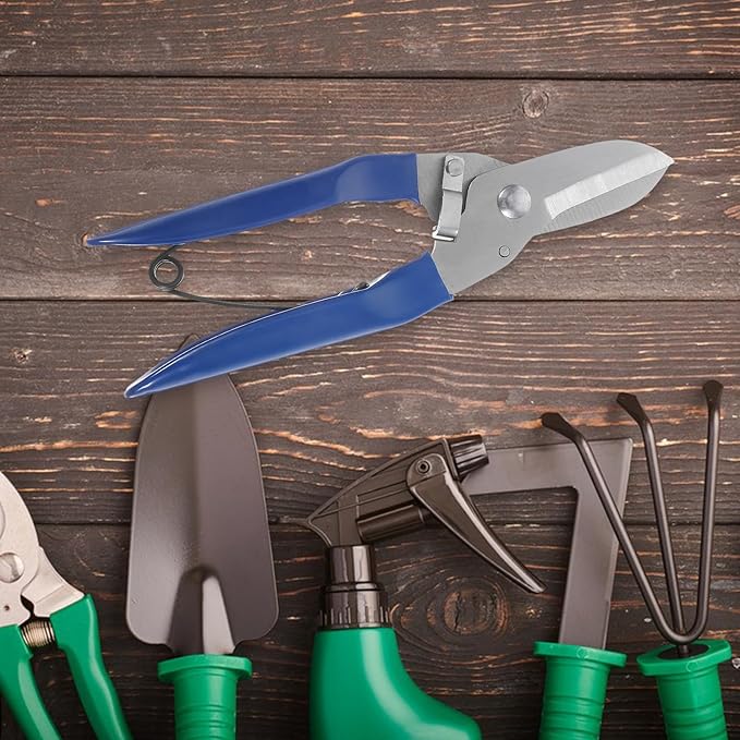 Garden Hand Pruner Shears for Bonsai and Tree Branches, Blue Plastic Handle, Strong Cutting Tool for Garden Flower Trimming and Shrub Pruning,
