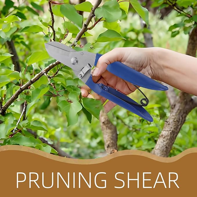 Generic Garden Pruning Shears Stainless Steel Tree Branch Cutter with Blue Non-slip Handle for Bonsai and Fruit Trees, Heavy Duty Garden Tool for Outdoor Plant Trimming