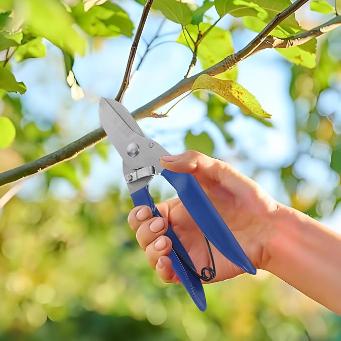 Garden Hand Pruner Shears for Bonsai and Tree Branches, Blue Plastic Handle, Strong Cutting Tool for Garden Flower Trimming and Shrub Pruning,