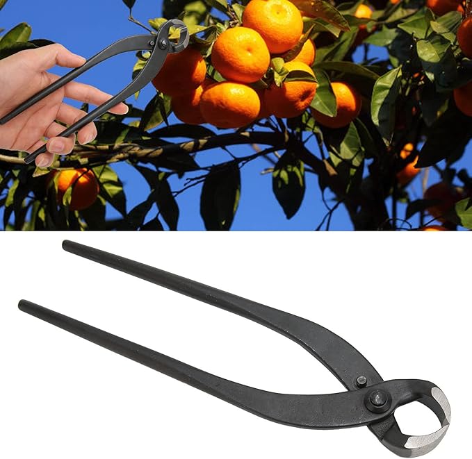 Topyond Bonsai Pruning Shears, Manganese Steel Garden Scissors with Ergonomic Handle, High-Efficiency Plant Trimming Tool for Bonsai Flowers Fruit Trees