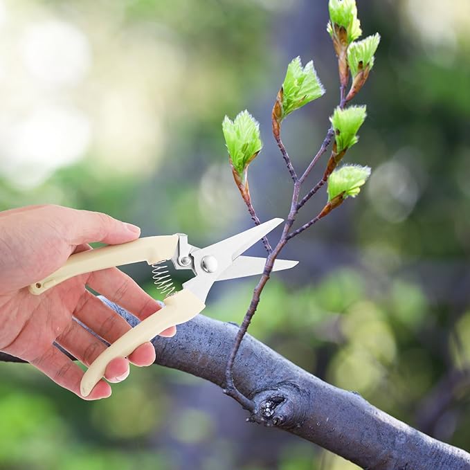 Toyvian Stainless Steel Branch Shears and Gardening Pruning Scissors for Fruit Tree Trimming with Straight Head, Horticulture Hand Tool for Precise Garden and Orchard Cutting