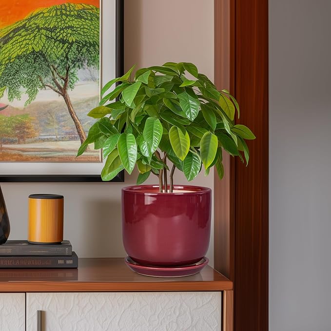 SUNPOTFOR Ceramic Flower Pot for Plants - Cylinder Modern 8 Inch Plant Pot Indoor with Drainage Hole and Saucer, Home Office Room Porch Decor, Red