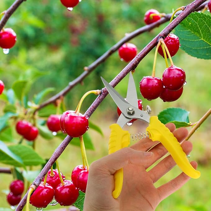 Angoily Serrated Gardening Pruning Shear Scissors 8-inch Steel Blade Labor-saving Hand Tool for Garden Trimming and Branch Cutting Random Color