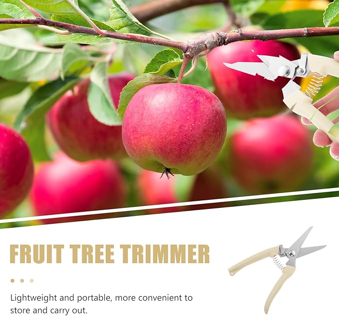 Toyvian Stainless Steel Branch Shears and Gardening Pruning Scissors for Fruit Tree Trimming with Straight Head, Horticulture Hand Tool for Precise Garden and Orchard Cutting