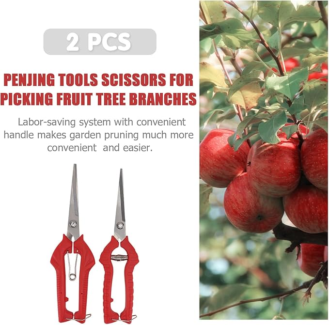 VOSAREA 2pcs Garden Pruning Shears Set with Bypass Blades, Large and Medium Fruit Picking Scissors for Tree Trimming and Bonsai Care, Gardening Hand Tools for Patio and Lawn Maintenance