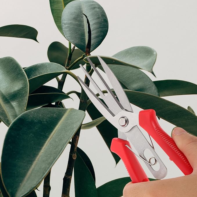 Garden Pruning Shears and Gardening Scissors Double-edged Sharp Blades for Fruit Thinning and Plant Trimming, Lightweight Handheld Tool for Garden and Orchard Maintenance