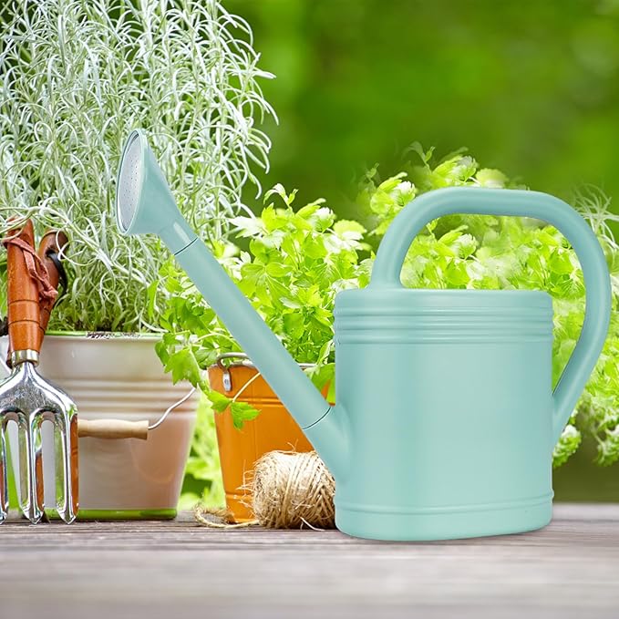 1 Gallon Watering Can for Indoor Plants, Garden Watering Cans for Outdoor Plant House Flower, Modern Plant Watering Can Large Long Spout with Sprinkler Head