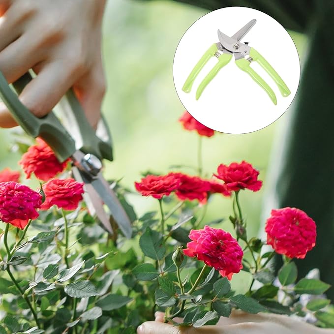 2pcs Stainless Steel Pruning Shears Gardening Cutting Tool Curved and Straight Blades Plant Scissors for Garden Flower Trimming and Fruit Picking