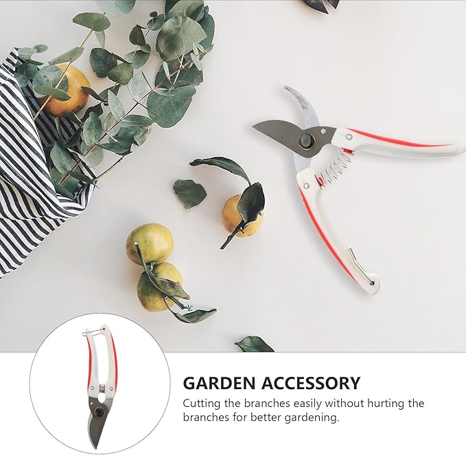 Garden Pruning Shears and Fruit Tree Branch Cutter, Bypass Pruning Scissor for Garden and Orchard Use, Ergonomic Hand Tool for Precise Branch Trimming and Plant Maintenance